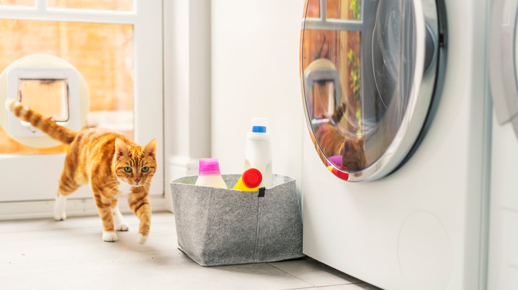 How to recycle at home – getting started